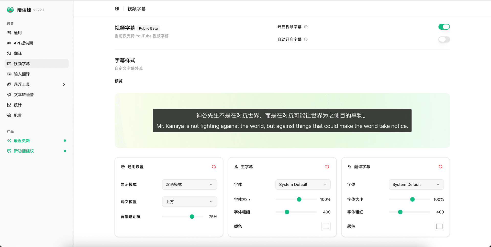 字幕样式设置面板